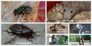7 Pests in the Workplace