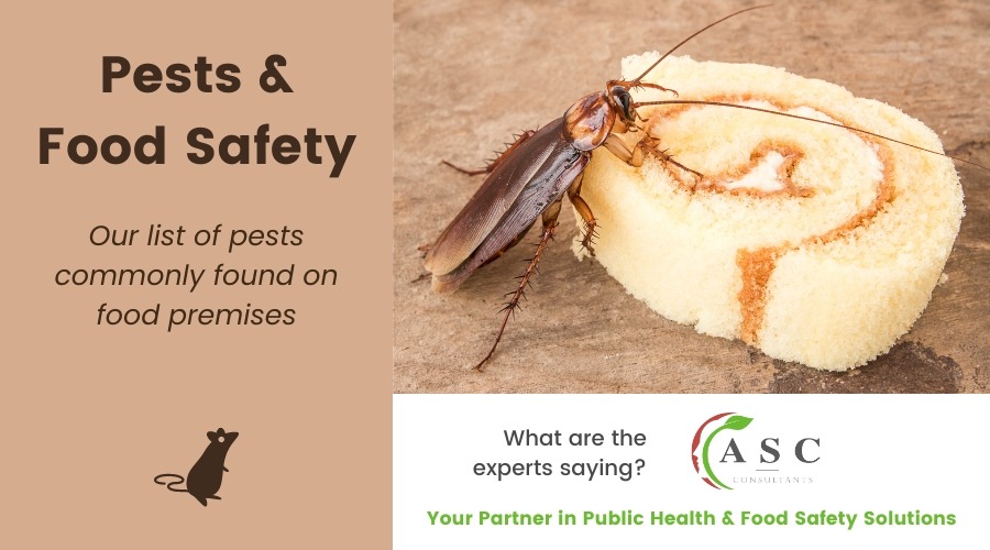 7 Pests to Ban From Your Food Premises to Improve Food Safety