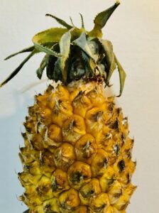 Pineapple