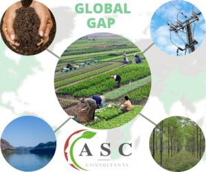 GLOBALG.A.P. Certification: A Producer's Overview