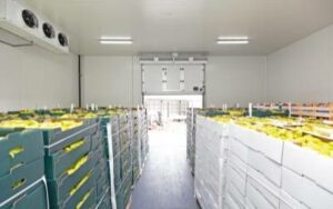 Food Storage and Distribution