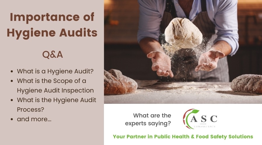 The Importance of a Hygiene Audit