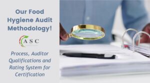 food hygiene audit process