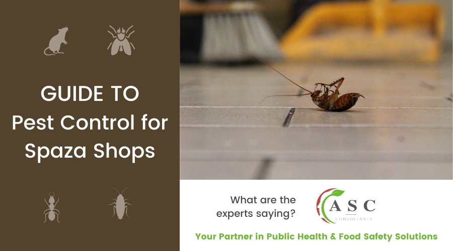 A Complete Guide to Pest Control for Spaza Shops