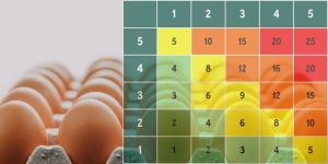 FSMS Risk Assessment Templates with Videos